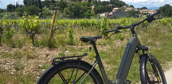 Balade printaniere