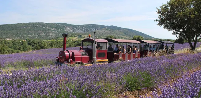 Tour en train