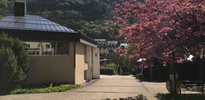 Office de tourisme du Mont-Dore - Massif du Sancy