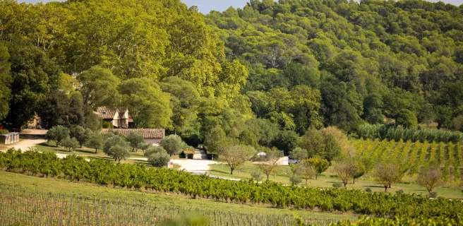Château Mentone