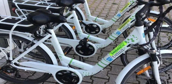 ROUE LIBRE ET SPORTS