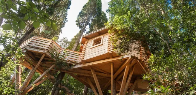 LES CABANES DANS LES BOIS