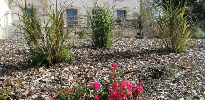 Gîte d'étape entre Loyre et Canaux