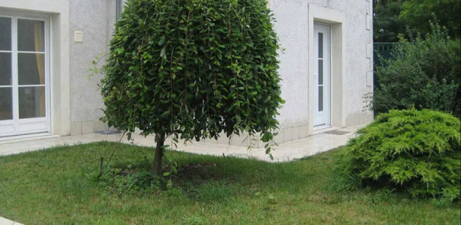 Les Agapanthes - Meublé Primevères