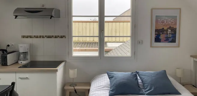 Les Agapanthes - Meublé Oeillets