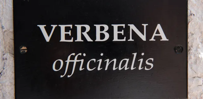 Gîte Verbena - La Barboire Campagne