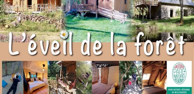 L'éveil de la Forêt - le gîte du Moulin