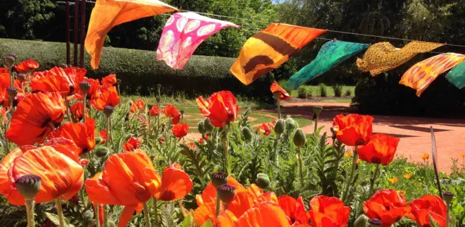 Mosaïc - Le jardin des cultures