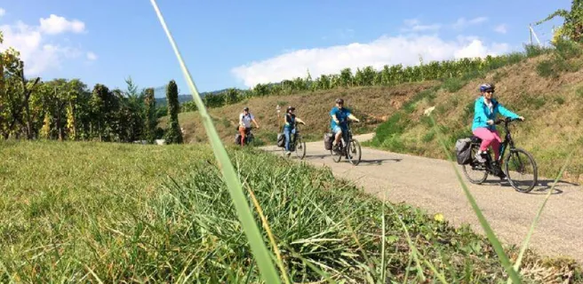 Alsa Cyclo Tours - L'Alsace, grandeur nature