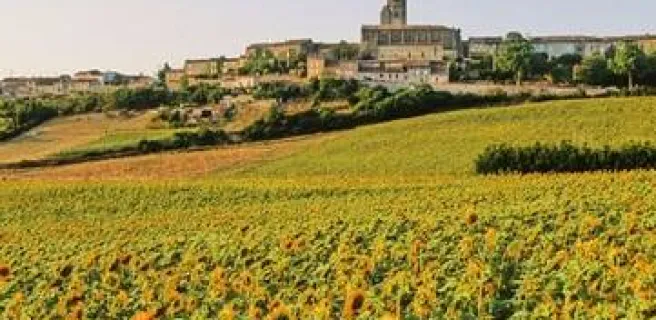 BUREAU D'INFORMATION TOURISTIQUE DE SAINT FELIX LAURAGAIS