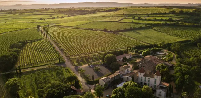 DOMAINE MOULIN DE LENE