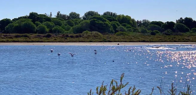 RÉSERVE NATURELLE DU BAGNAS