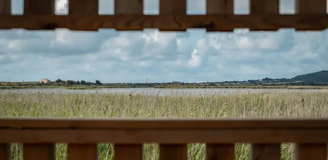 LA RÉSERVE NATURELLE DU BAGNAS
