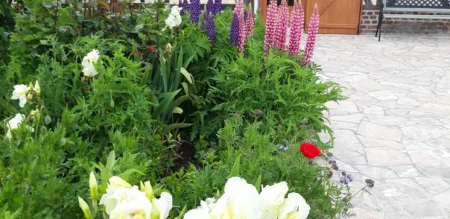 Gîte de La Ferme Bernard