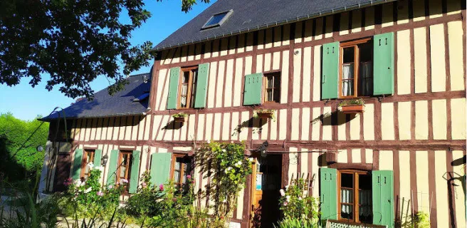 Duck House