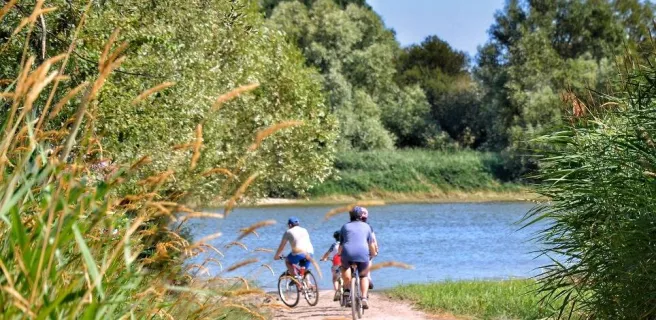 Location vélos à l'Office de tourisme Anjou Vert