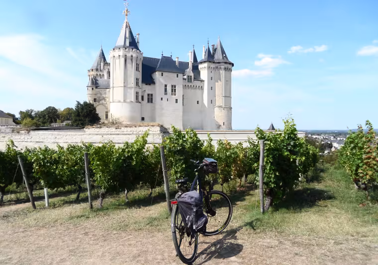 Le château de Saumur