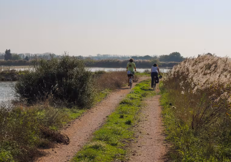 La Camargue avec Vélorizons