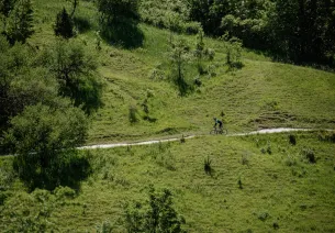 Chemin à vélo en Normandie