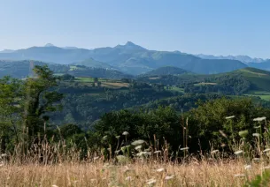 Panorama sur les Pyrénées