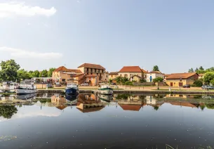 Berges du canal à Briennon