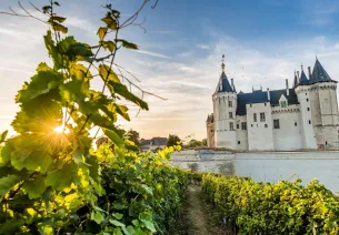 Château de Saumur