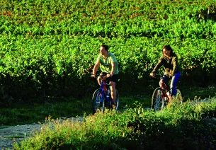 Les vignes et vergers de l'Auxerrois