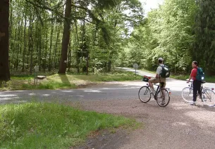 Escapade dans la forêt domaniale de Bercé à vélo