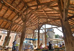 Het stadje Mas-d'Agenais met zijn houten markthallen en een echte Rembrandt