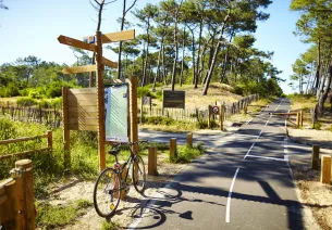 La Vélodyssée dans les Landes