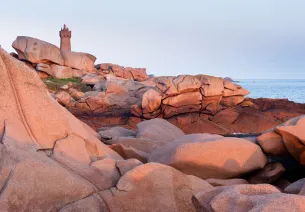Le rose du Granit