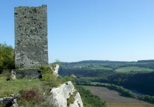 Ruines du Château de Montferrand