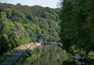 Le long de la Saône