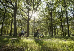 Vélo dans la Vallée de Chevreuse - La Véloscénie