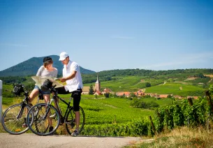 S'orienter sur la véloroute du Vignoble