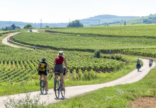 Voie des Vignes à vélo
