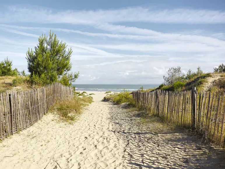Du cœur de Bordeaux aux plages sauvages du Médoc