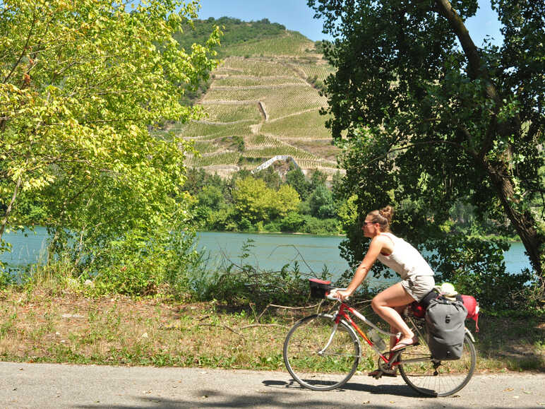 Remonter le fil du Rhône à vélo