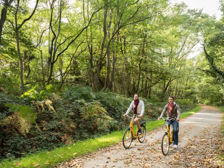 Fietsen over oude spoorlijnen